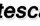 Logo web