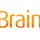 brainsins logo