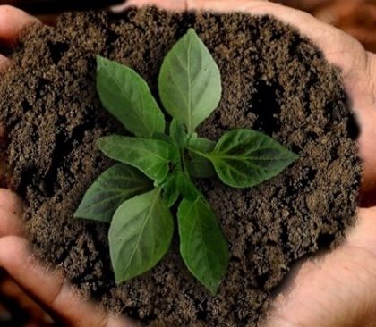 Tomar medidas drásticas contra las empresas más contaminantes, un dilema para los profesionales