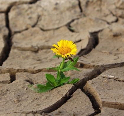 La escasez de lluvias y el riesgo de desertificación, el verdadero desafío para España