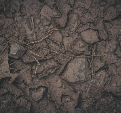 España entra en déficit ecológico: el 23 de mayo de 2025 marca el Overshoot Day