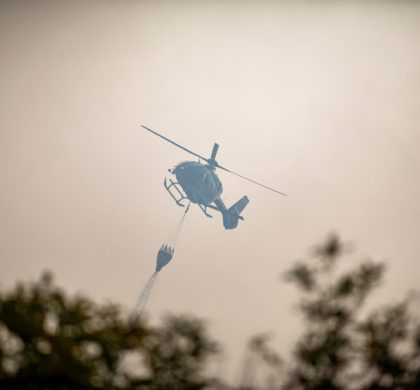AEGEX lanza herramienta digital para propietarios afectados por los incendios: mapa interactivo con Catastro y zonas quemadas