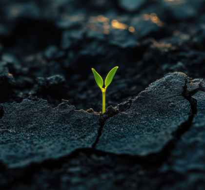 Reconstrucción y resiliencia: El cambio climático como oportunidad para innovar