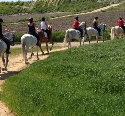 El turismo ecuestre en España genera 1.800 millones de euros y un gasto medio de 300 € al día: Freedome impulsa nuevas experiencias este otoño