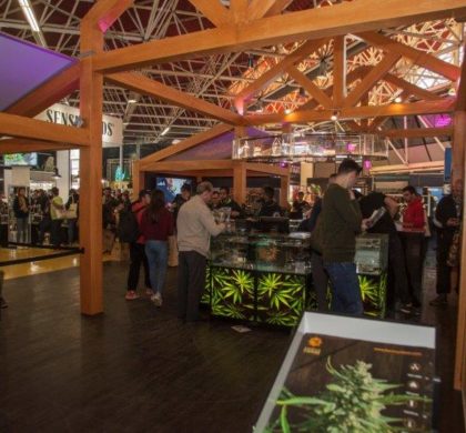 Regulación, medicina, financiación y exportación: los nuevos ejes que están transformando la industria del cannabis