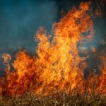 EBS_cambio-climatico-1-1