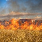 EBS_cambio climático (2)