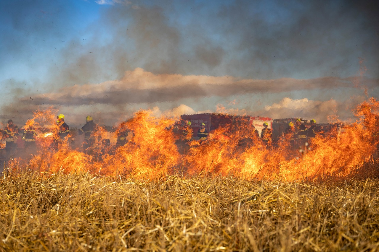 EALDE pide un gran consenso nacional sobre resiliencia climática: “El cambio climático incrementa el peligro, pero la falta de gestión multiplica las consecuencias”