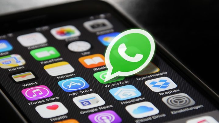 6 puntos importantes a tomar en cuenta cuando tienes un grupo de WhatsApp corporativo