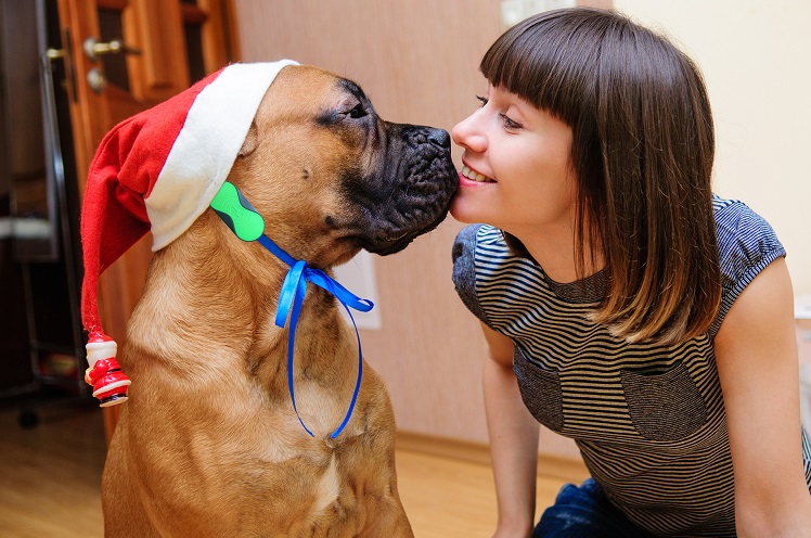 ¿Un regalo original de Navidad? Dondo, un GPS de última generación para localizar a tu mascota