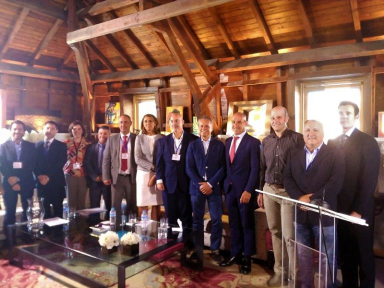 Nace la Asociación Empresarial de Pilas, Baterías y Almacenamiento Energético, AEPIBAL