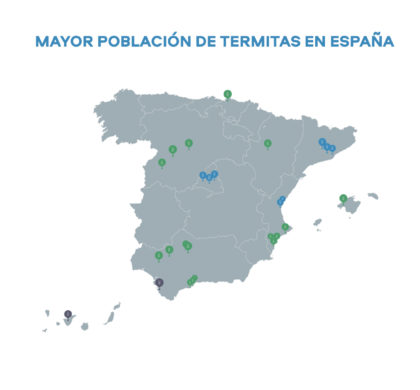 Madrid, Barcelona, Valencia y Sevilla, las ciudades españolas más afectadas por las plagas de termitas