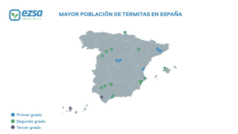 Madrid, Barcelona, Valencia y Sevilla, las ciudades españolas más afectadas por las plagas de termitas