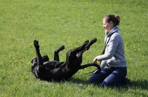 Petandnet_jugando con mascota