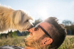 Cool Dog Playing With His Owner