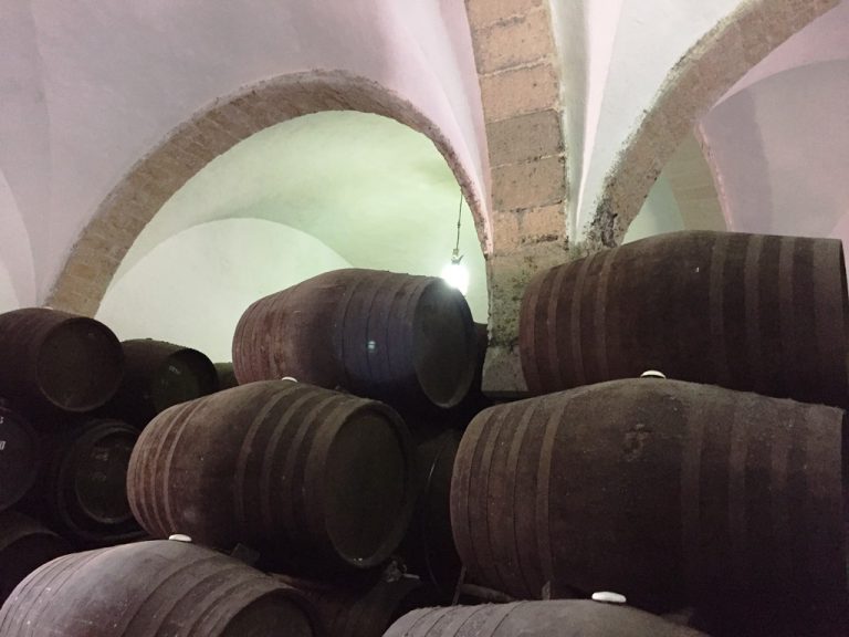 Las bodegas en zonas turísticas esperan ver crecer sus visitas un 10% este verano