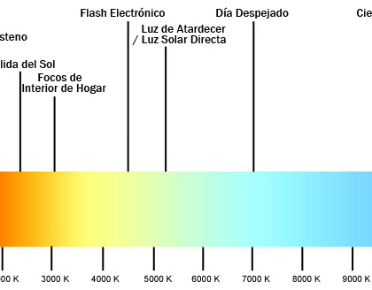 ¿Cómo elegir la iluminación perfecta para cada espacio del hogar? Lámparas, plafones, luz indirecta…