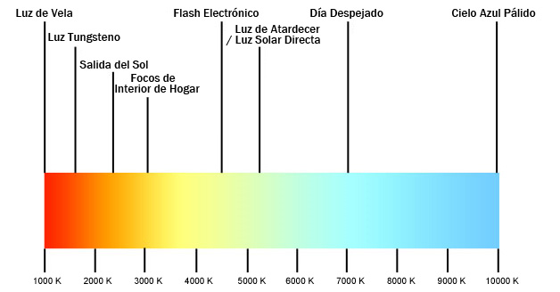 ¿Cómo elegir la iluminación perfecta para cada espacio del hogar? Lámparas, plafones, luz indirecta…