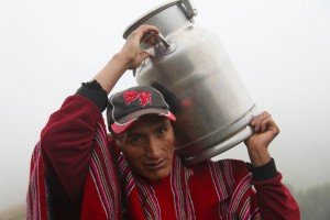 alfredo-pequeno-ganadero-chimborazo