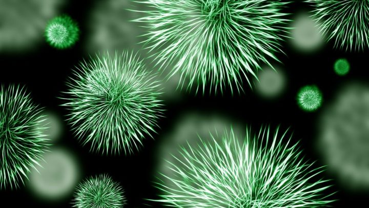 Estrategia de comunicación en tiempos de coronavirus