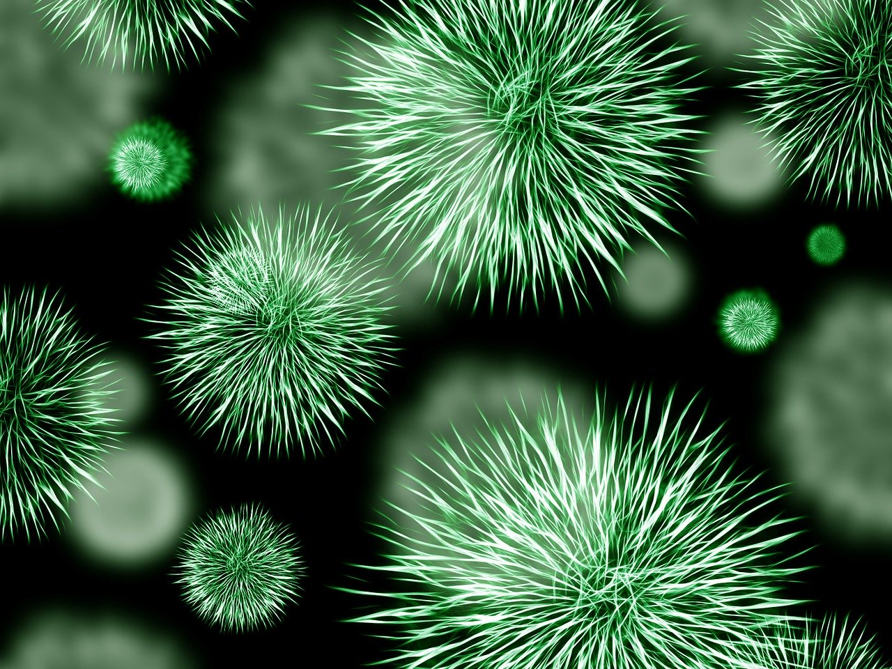 bacteria-426997_1280