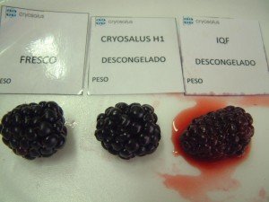 fruta cryosalus Hibernación