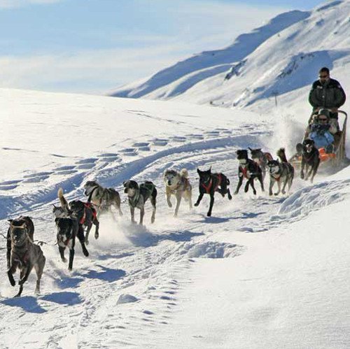 Pasear por la nieve en trineos tirados por perros será el regalo estrella de esta Navidad