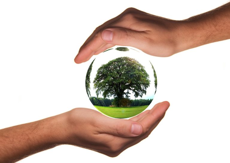 Empresa con propósito: cómo dar visibilidad a las causas socioambientales con las que las compañías están comprometidas