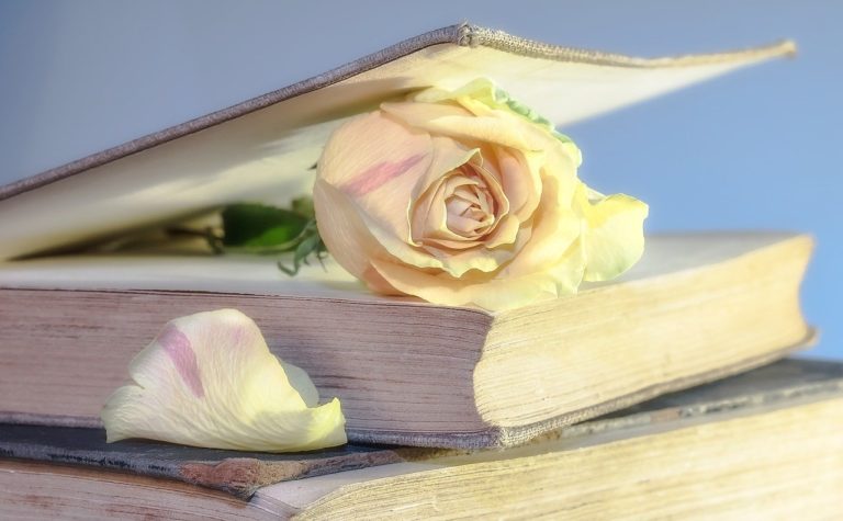 Un Día Internacional del Libro muy digital